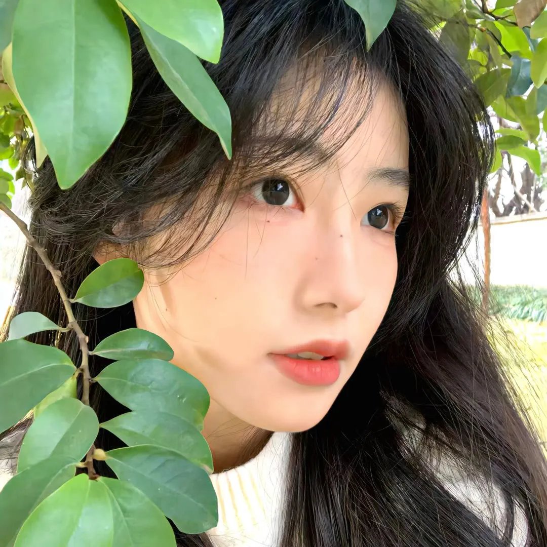 森林随处可见