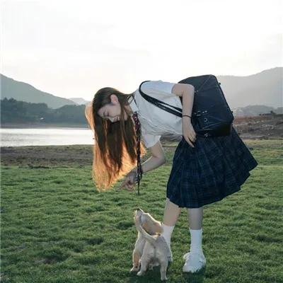 迷途之狼